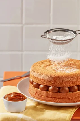 Torta de coco rellena con dulce de leche con azúcar en polvo espolvoreada.